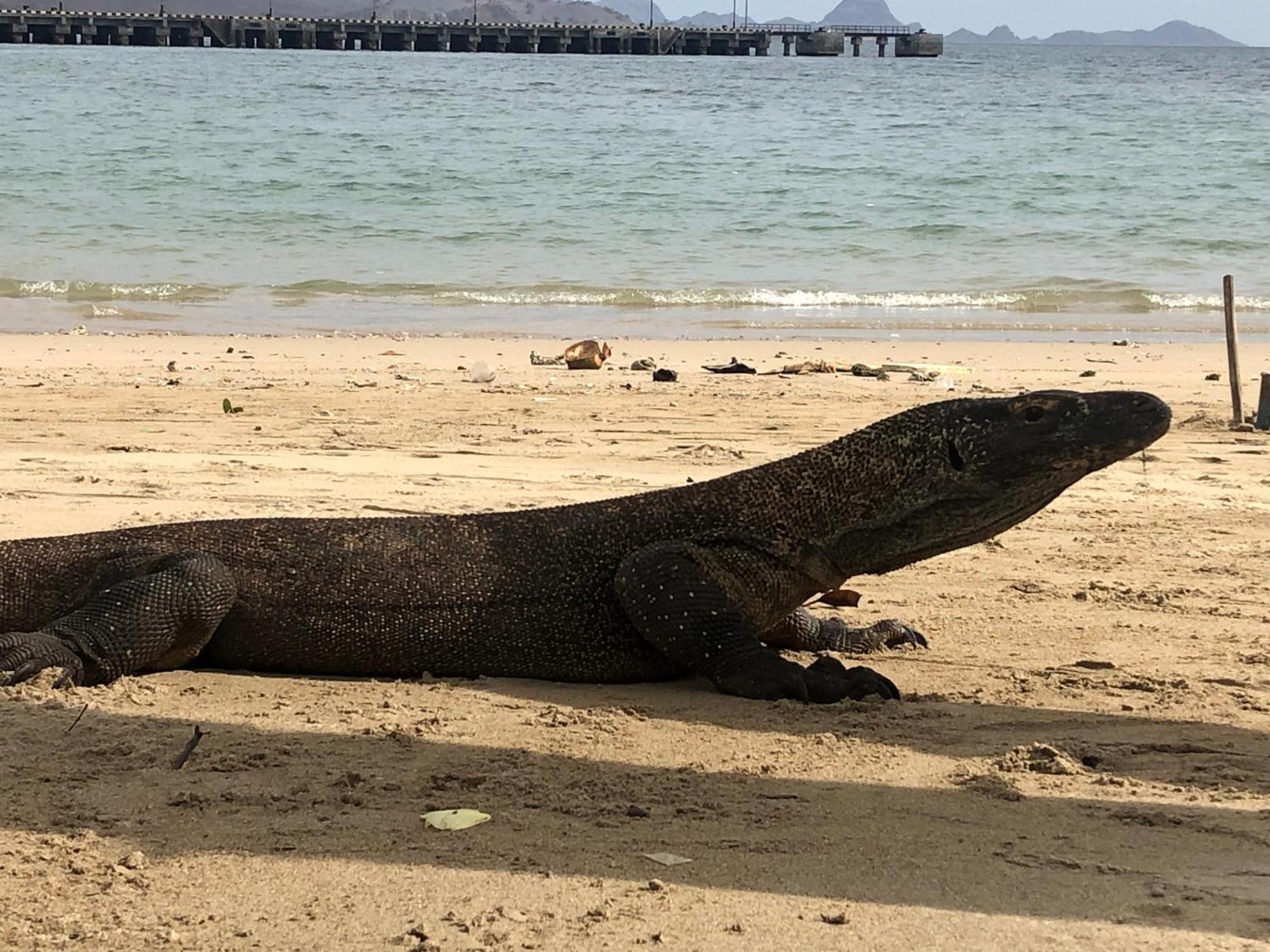 Dua Putri Komodo Homestay Εξωτερικό φωτογραφία