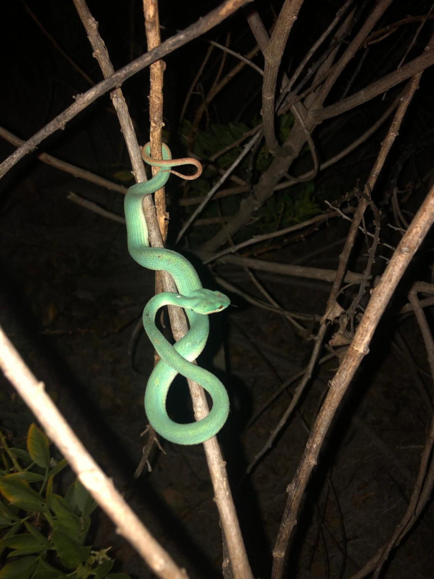 Dua Putri Komodo Homestay Εξωτερικό φωτογραφία